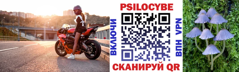 Галлюциногенные грибы Psilocybine cubensis  Купить где  Майкоп 